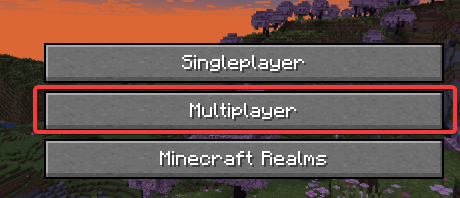 Multiplayer